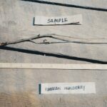 Cold Stream Farm Russian mulberry root