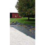 White cedar fall seed Cold Stream Farm