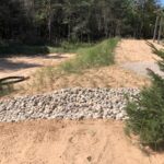 Cold Stream Farm beachgrass
