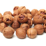 Cold Stream Farm shagback hickory nuts